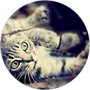 Photo de profil de Lydka Sz